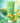 Fresh Squeeze – Melon Natural Tanning Intensifier Lotion